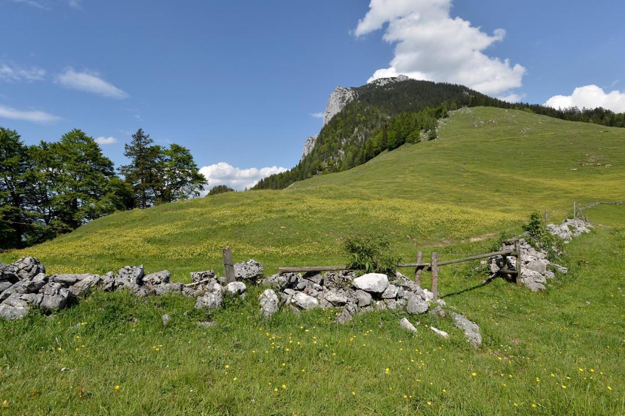 Ritzau Alm Hotel Ebbs Zewnętrze zdjęcie