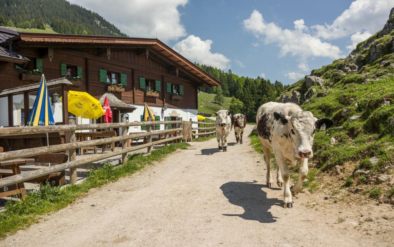 Ritzau Alm Hotel Ebbs Zewnętrze zdjęcie